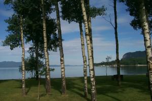 trees in the foreground and a blue lake in the background